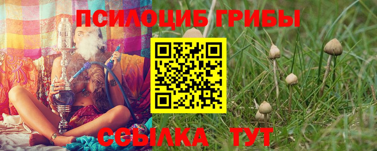 Псилоцибиновые грибы мухоморы Братск